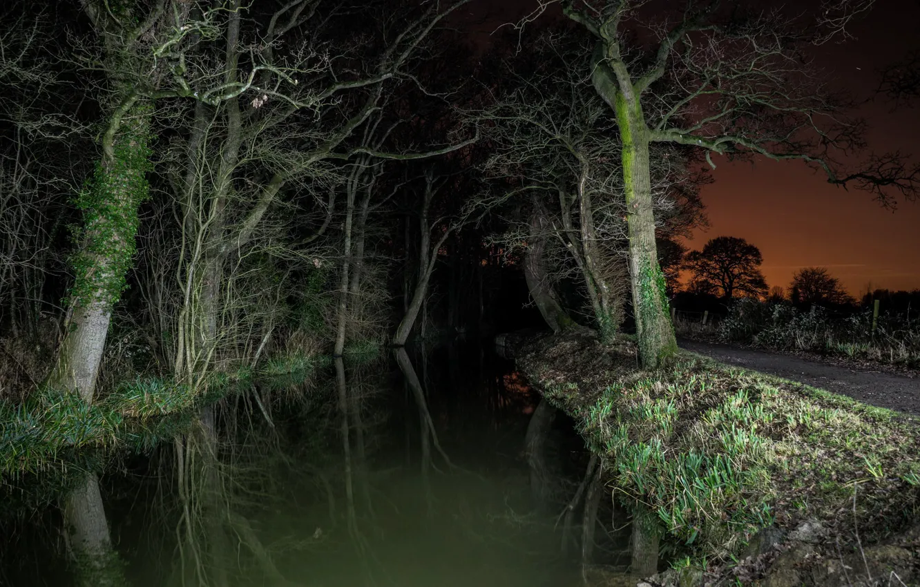 Photo wallpaper road, trees, night