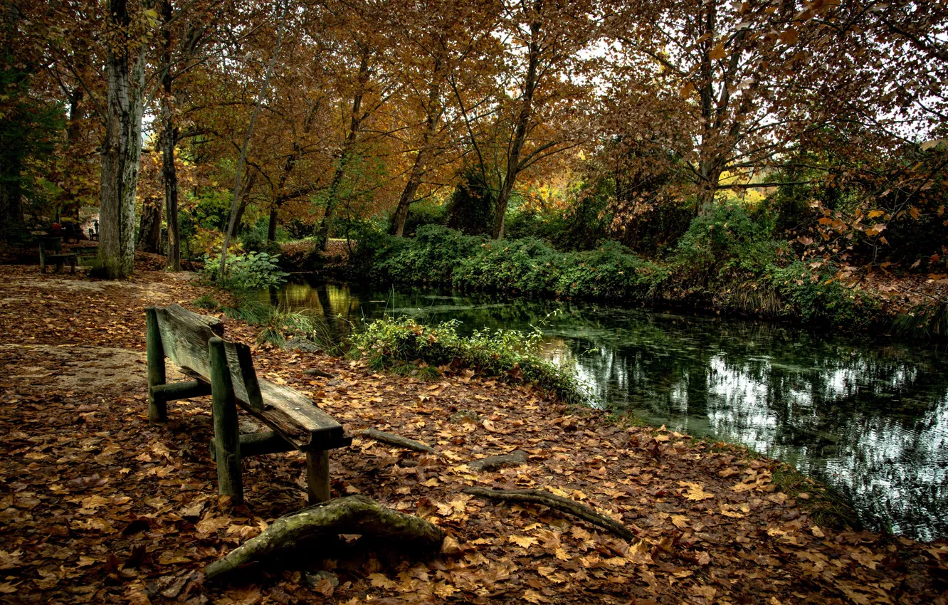 Photo wallpaper autumn, Park, river, bench