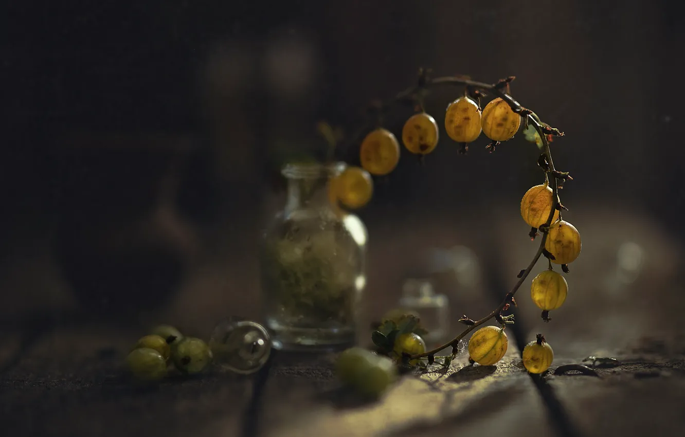 Photo wallpaper glass, light, berries, bottle, branch, still life, gooseberry, bokeh