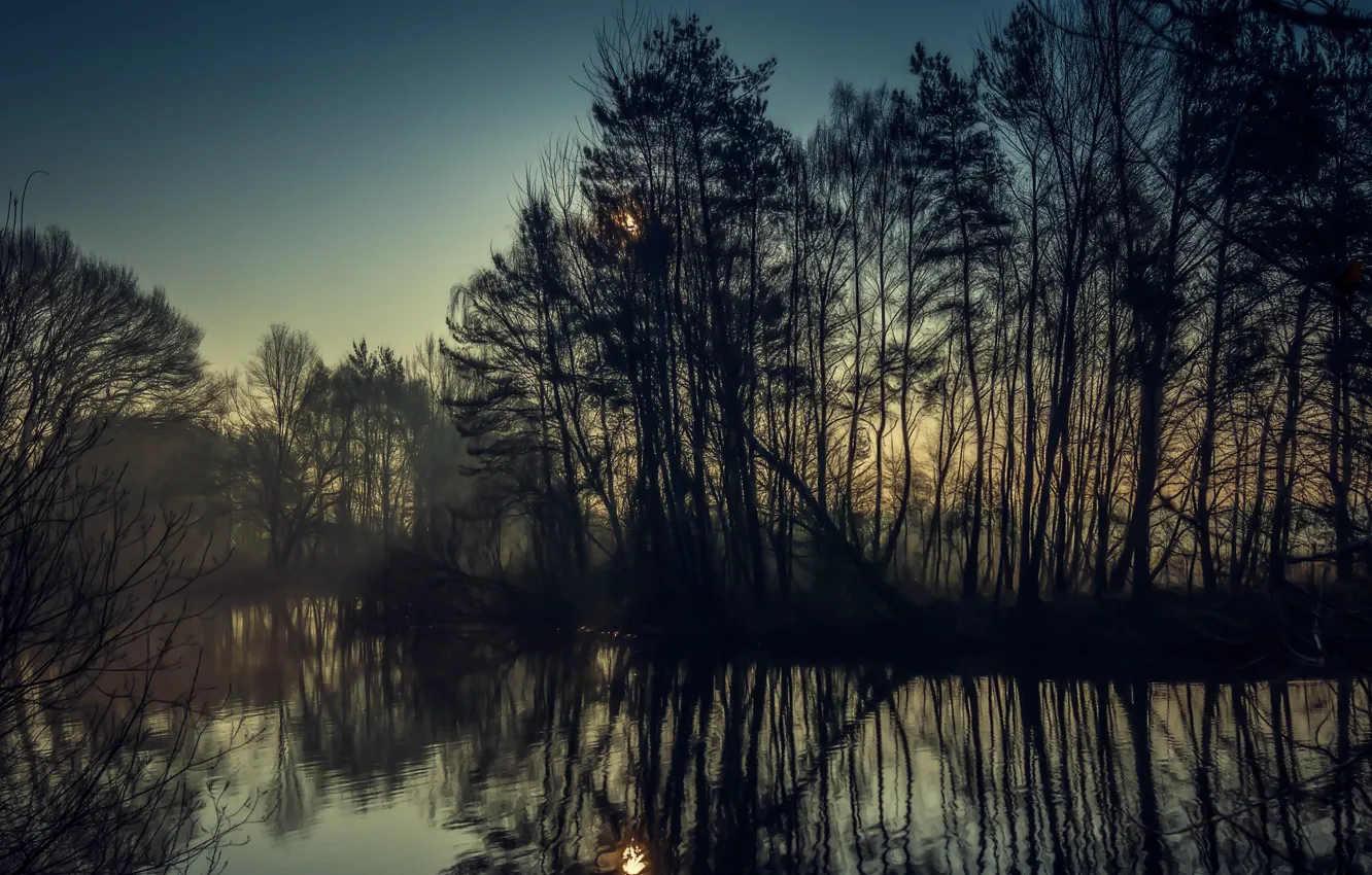 Photo wallpaper trees, nature, fog, river, beautiful morning view