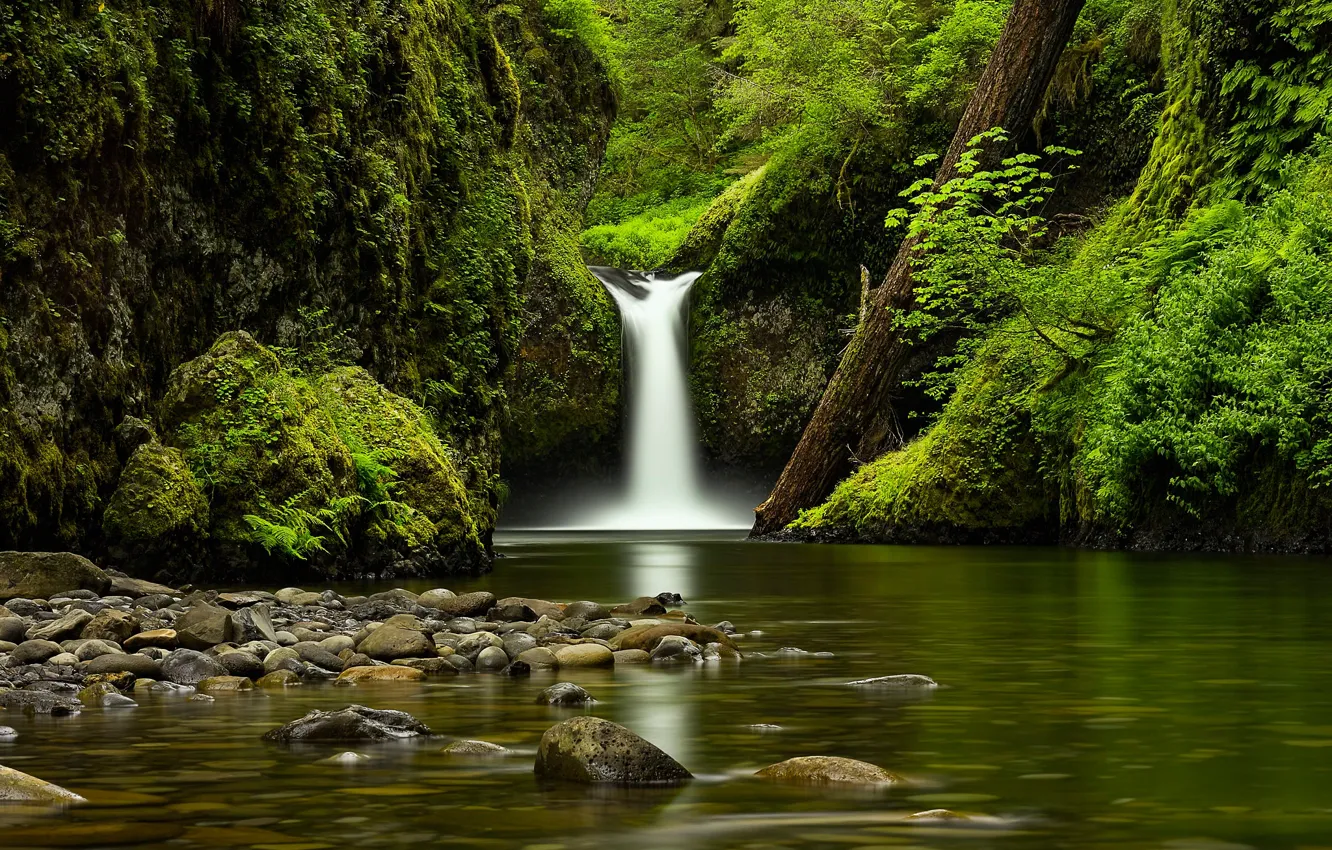 Photo wallpaper stones, shore, vegetation, waterfall, pond