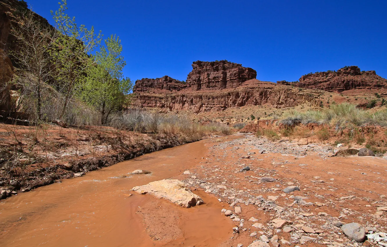 Photo wallpaper the sky, trees, mountains, river, rocks