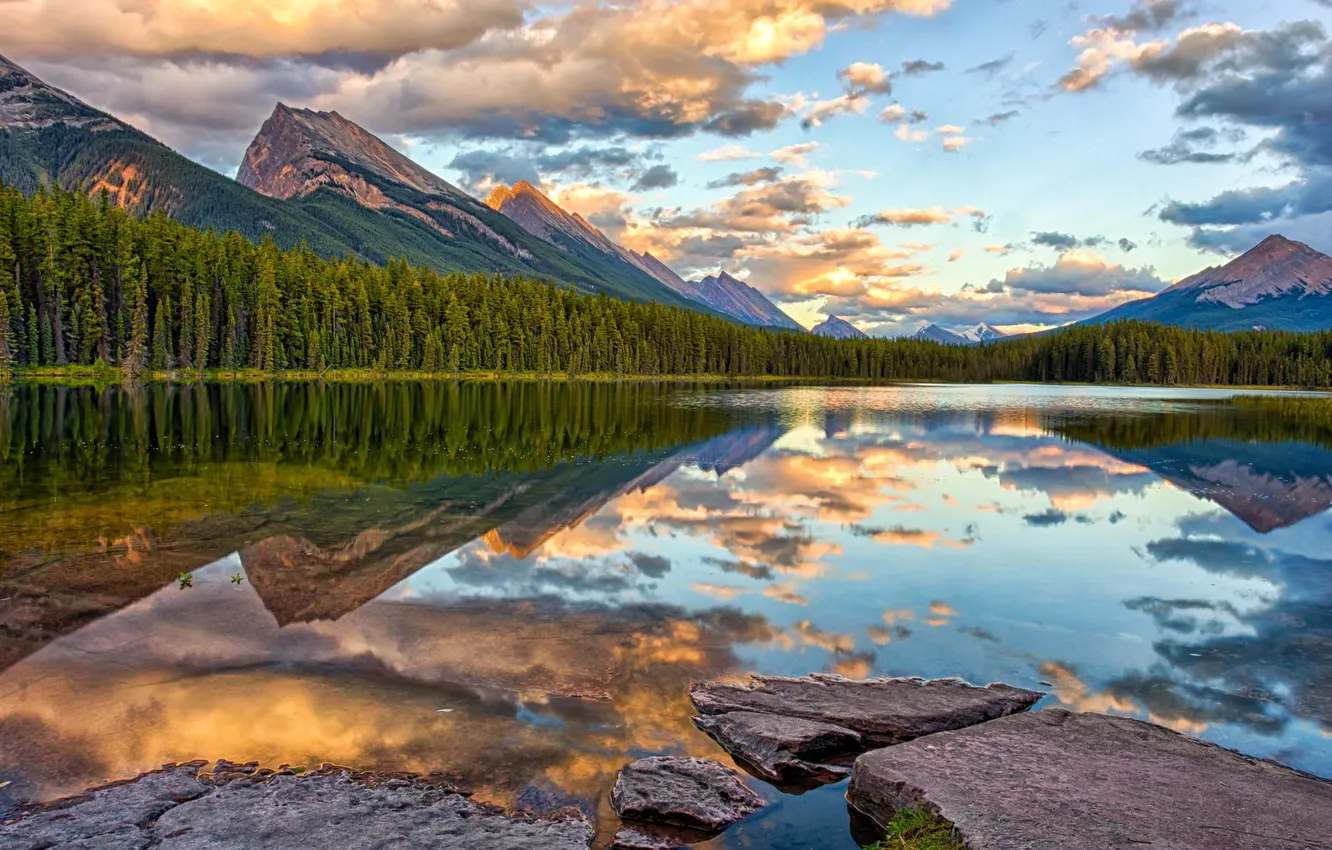 Photo wallpaper forest, mountains, nature, lake, reflection, panorama, rasvet