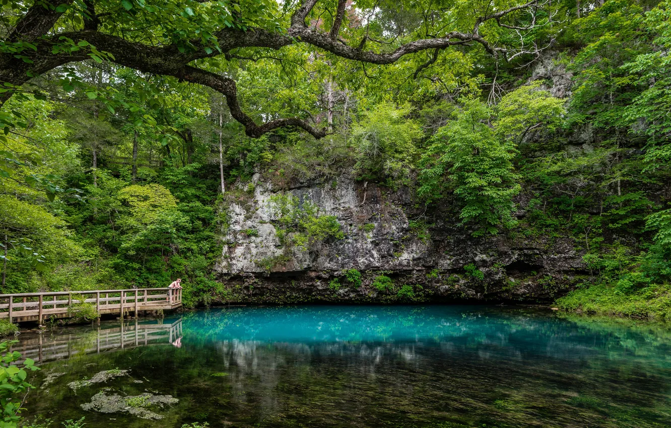 Photo wallpaper greens, trees, lake, Park, rocks, USA, the bushes, Missouri
