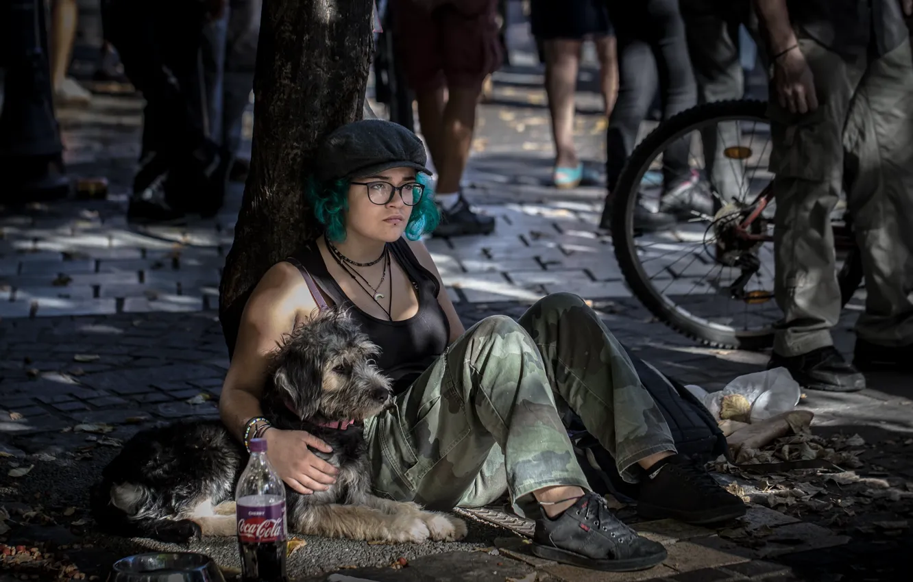 Photo wallpaper girl, street, dog