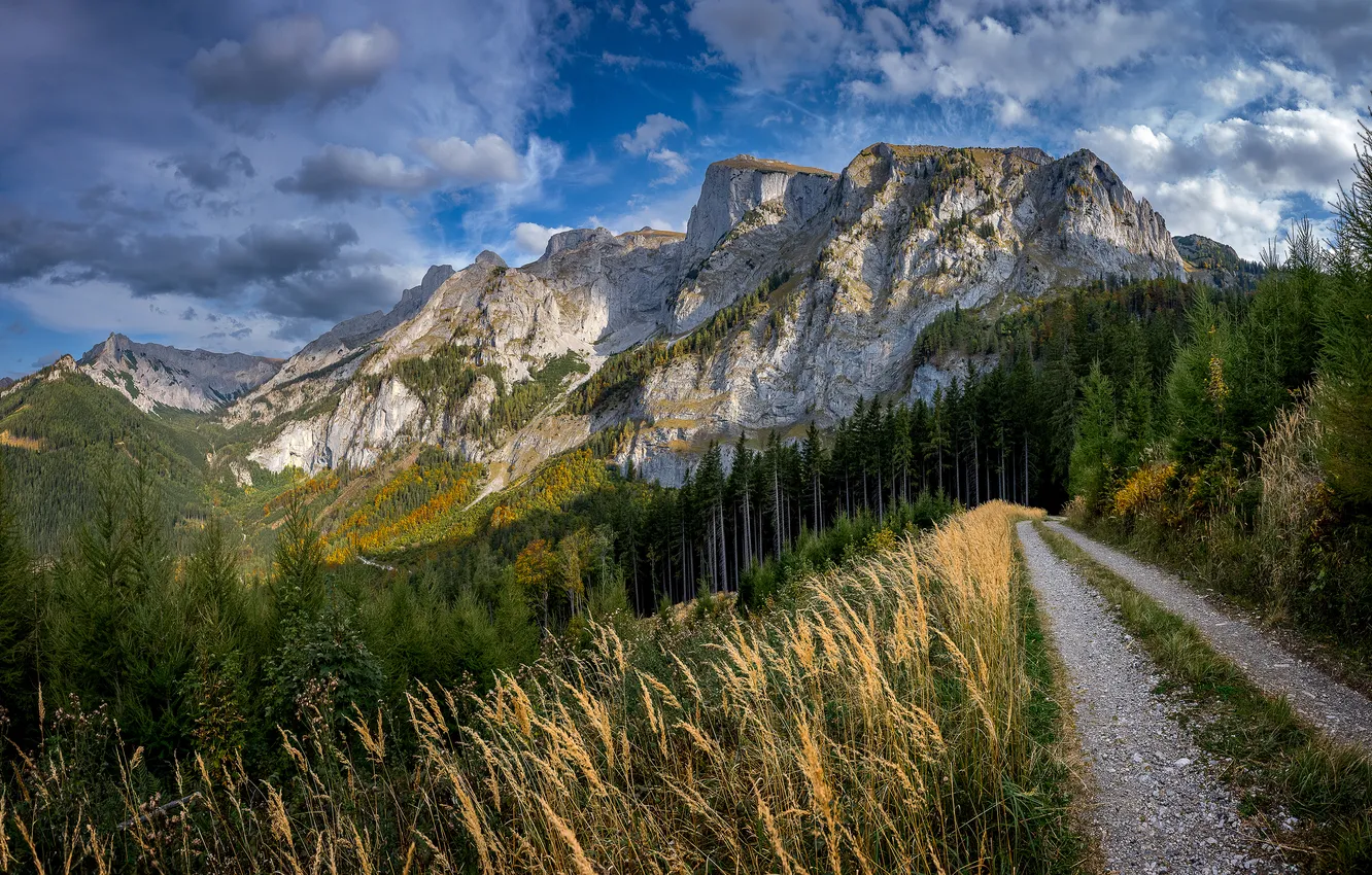 Photo wallpaper road, forest, grass, clouds, mountains, blue, slope