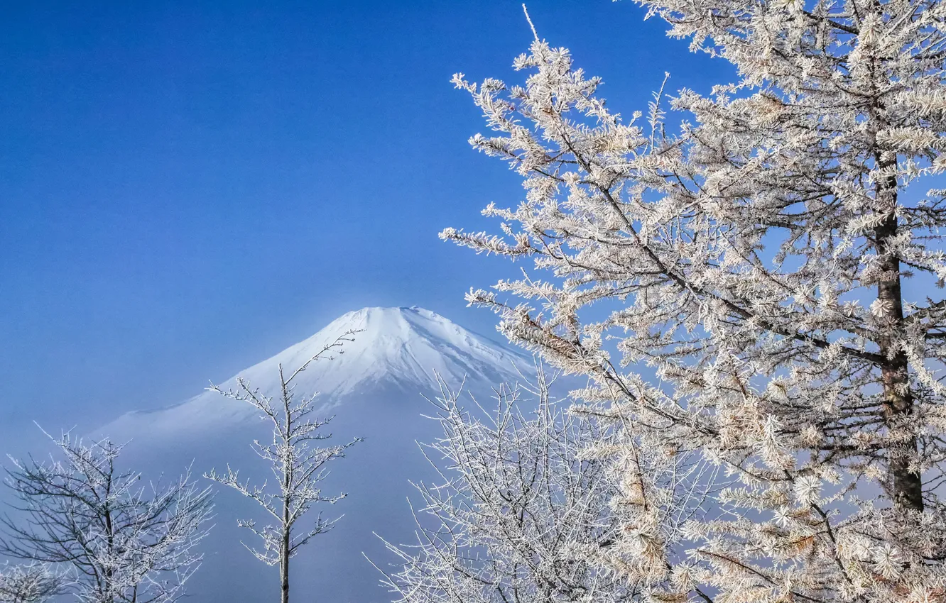 Photo wallpaper winter, the sky, tree, mountain, the volcano