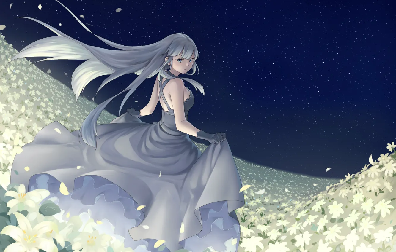 Photo wallpaper girl, flowers, night, art, tagme artist