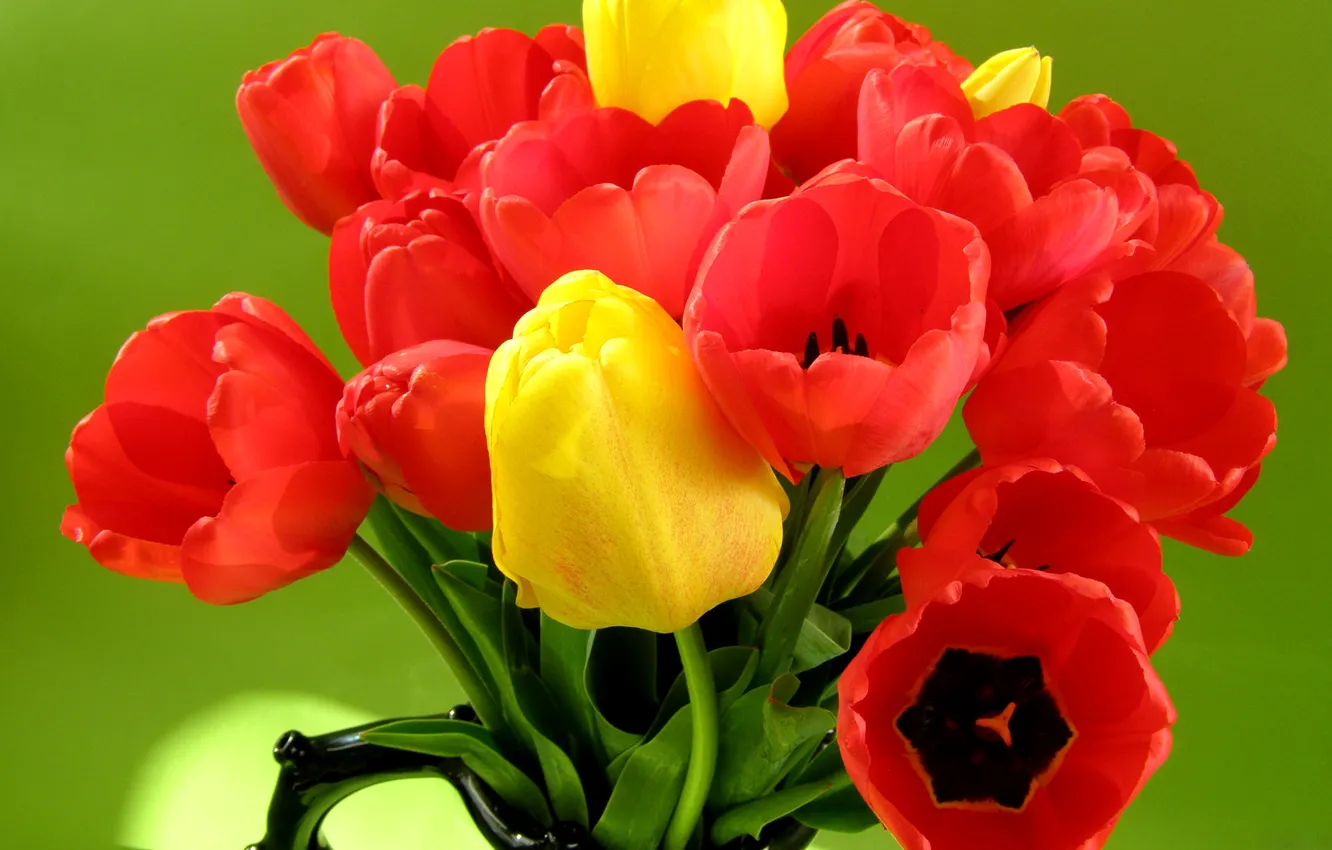 Photo wallpaper leaves, bouquet, petals, tulips