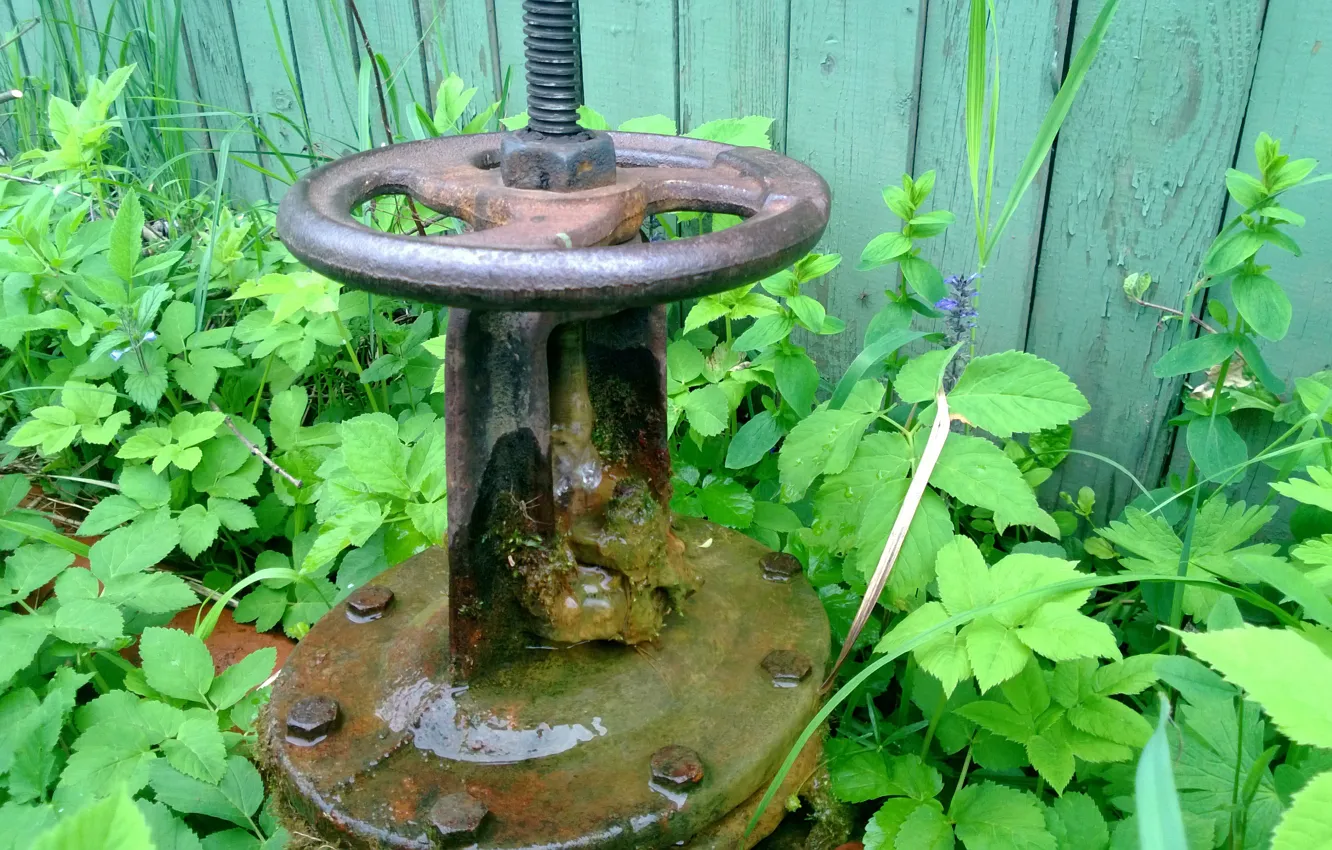 Photo wallpaper grass, the fence, Tech, valves, valves, oil seals