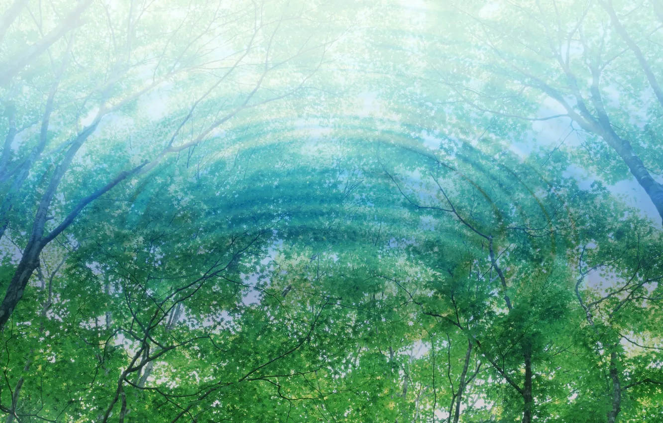 Photo wallpaper water, light, reflection, foliage, Trees