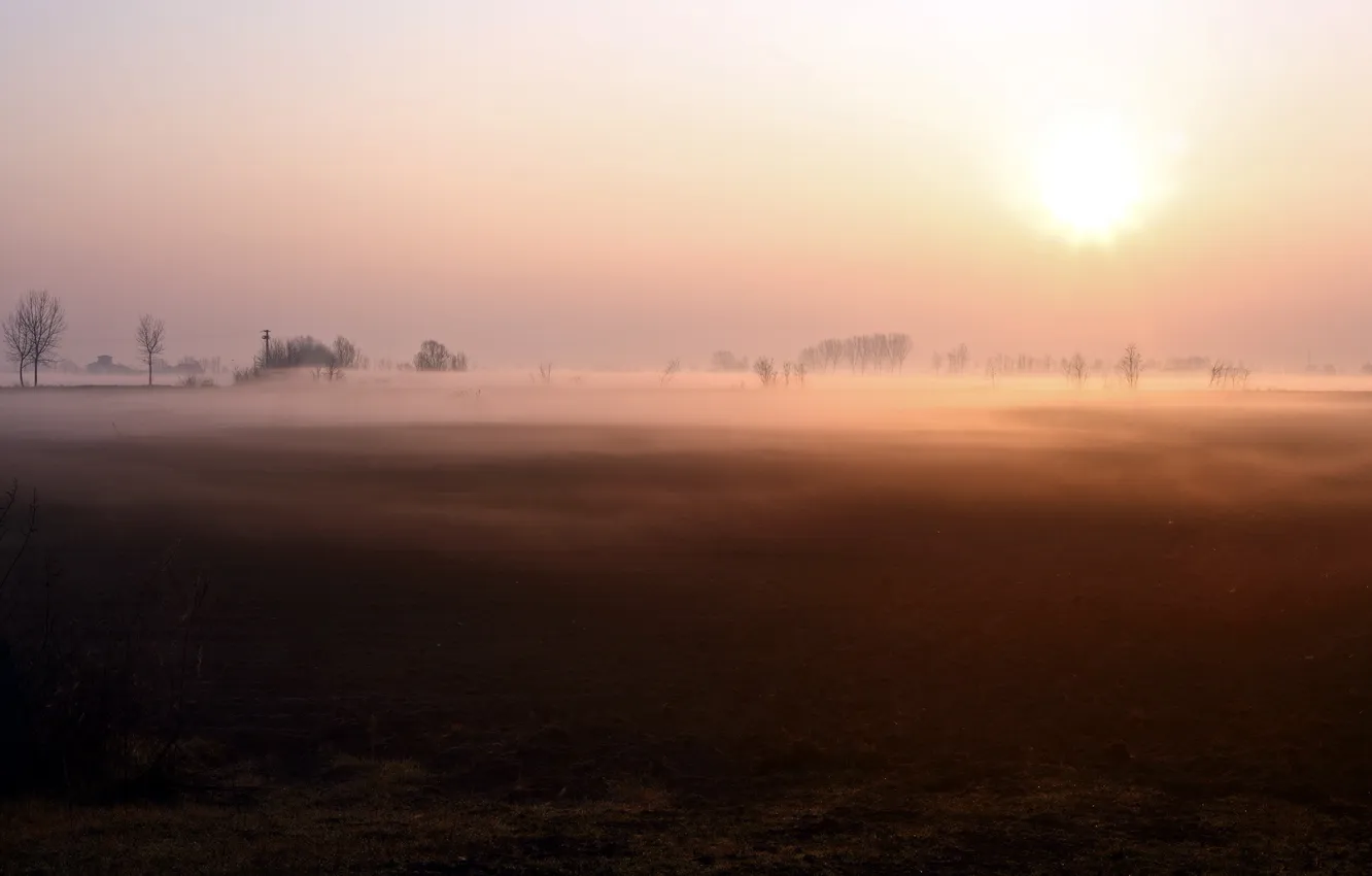 Photo wallpaper field, landscape, fog, morning