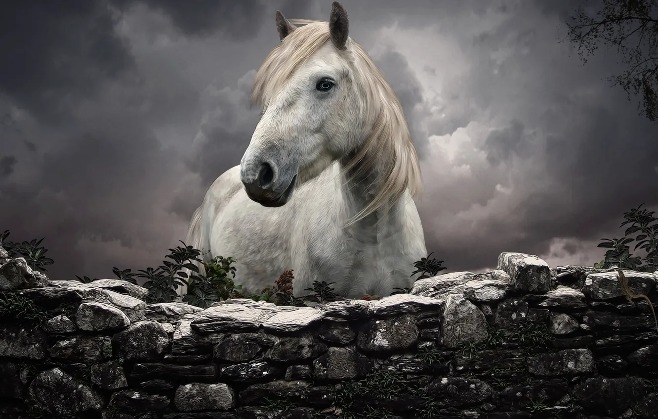 Photo wallpaper HORSE, MANE, WHITE, HEAD