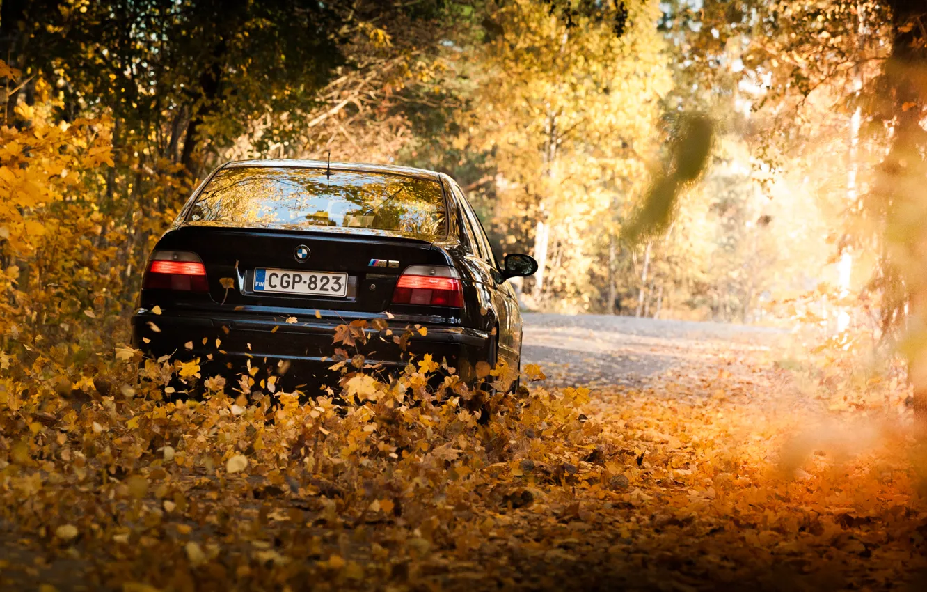 Photo wallpaper leaves, lights, BMW, BMW, Black, E39, autumn