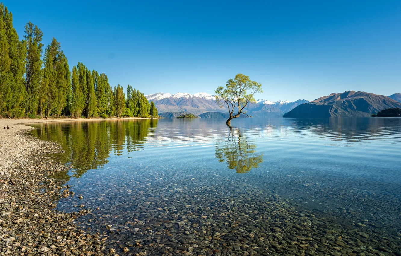 Photo wallpaper trees, landscape, mountains, lake, New Zealand