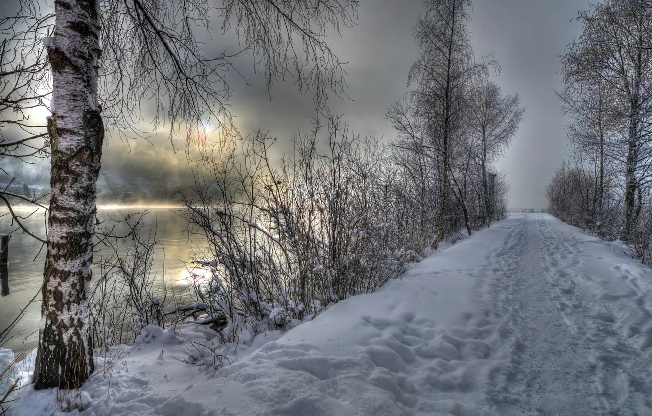 Photo wallpaper winter, snow, river, birch