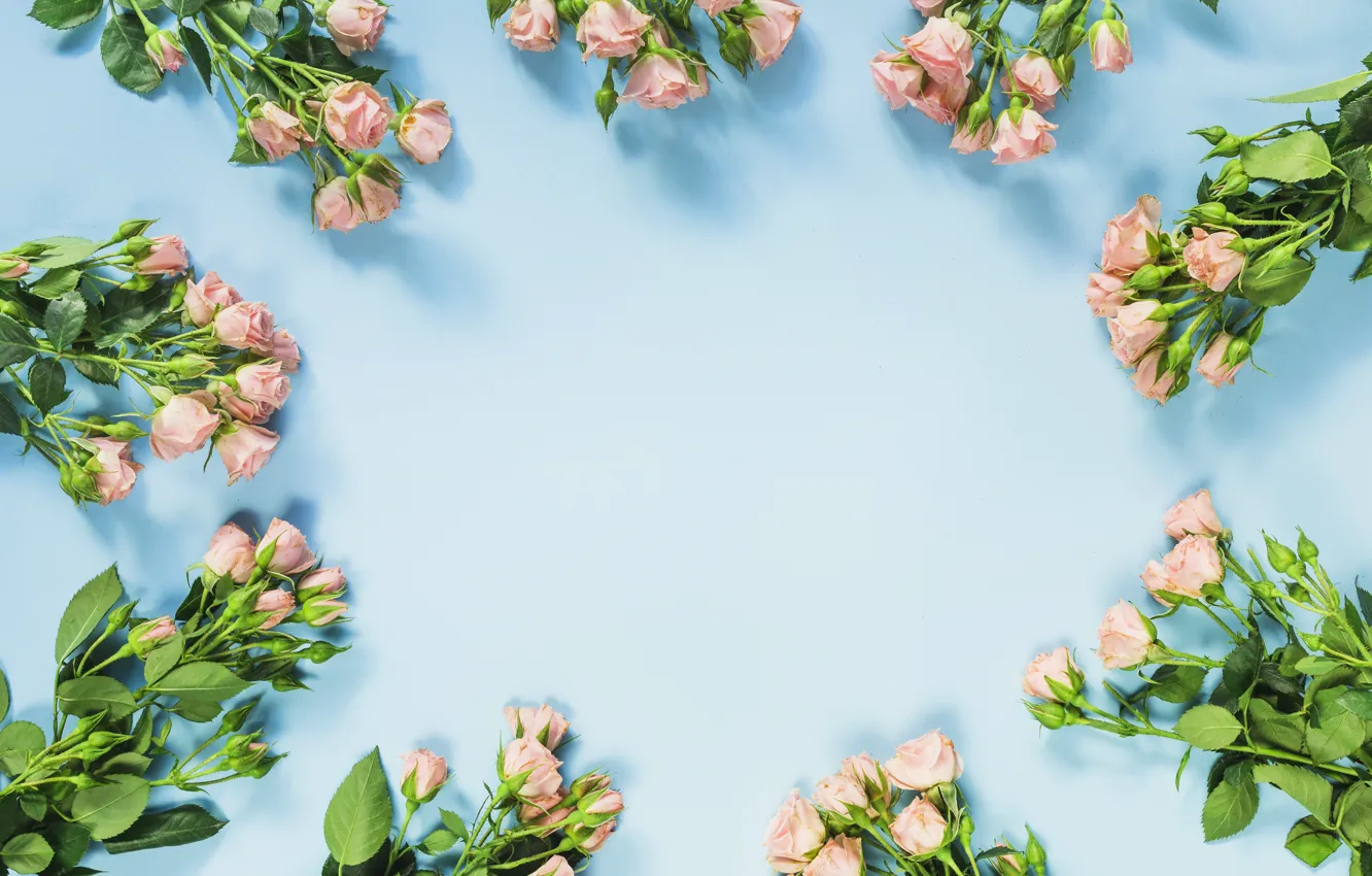 Photo wallpaper flowers, roses, bouquet, pink, pink, flowers, beautiful, romantic