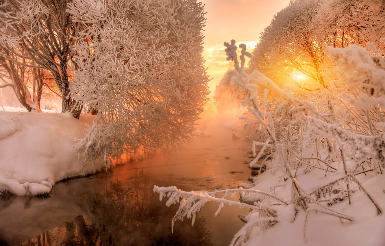 Photo wallpaper winter, forest, the sky, the sun, light, snow, trees, sunset