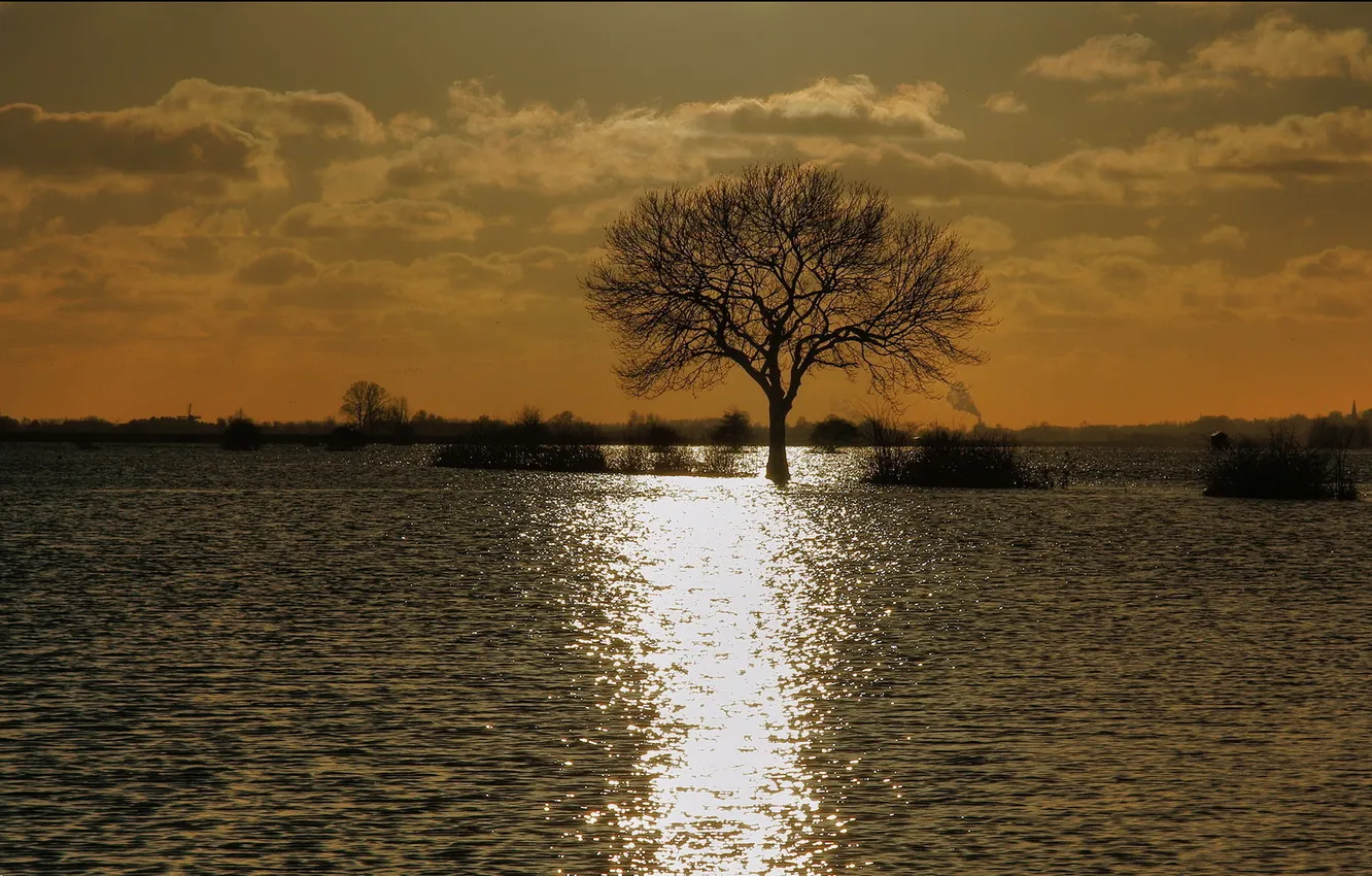 Photo wallpaper water, trees, sunset, nature, the evening, the flood