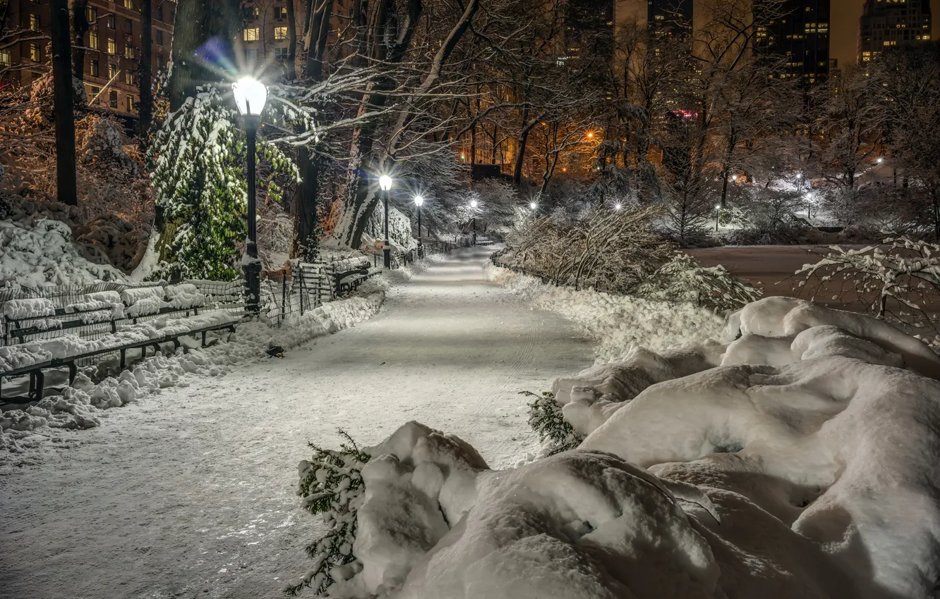 Photo wallpaper winter, snow, trees, bench, night, lights, Park, New York