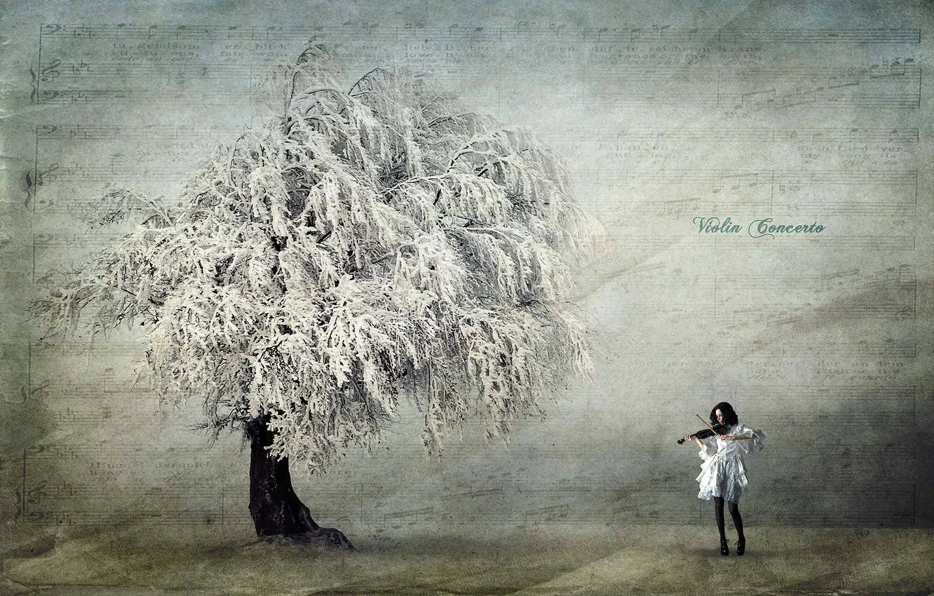 Photo wallpaper notes, tree, violin, grey