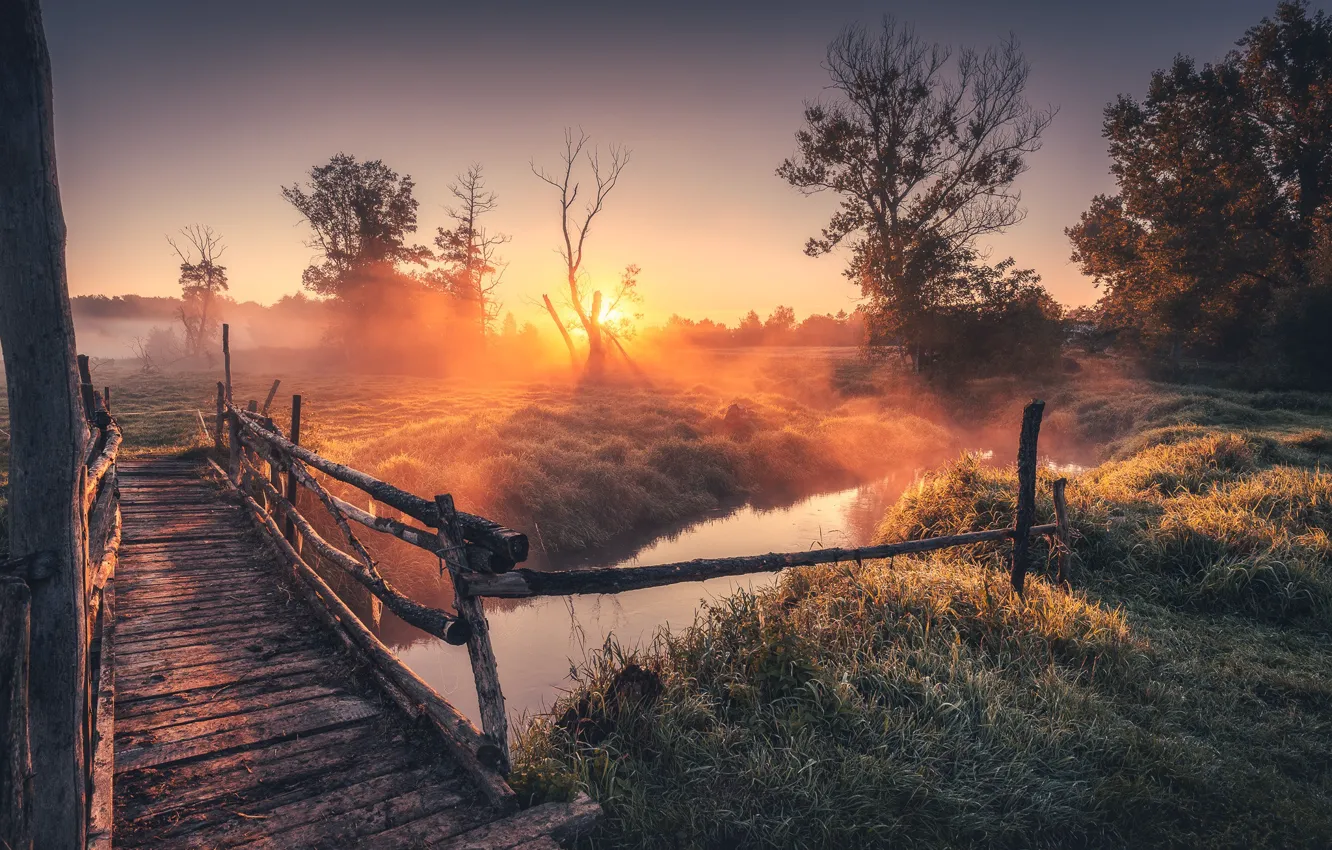 Photo wallpaper the sun, trees, bridge, dawn, shore, the bridge, pond