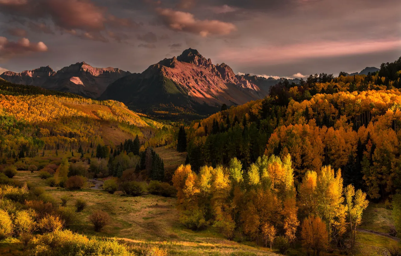 Photo wallpaper autumn, forest, light, trees, mountains, clouds, hills, view