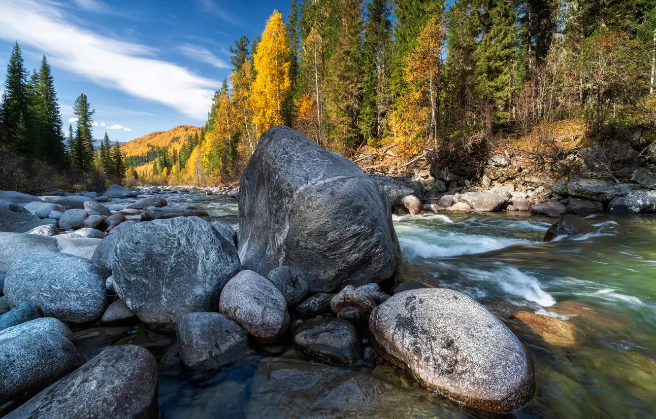 Photo wallpaper water, rocks, plants
