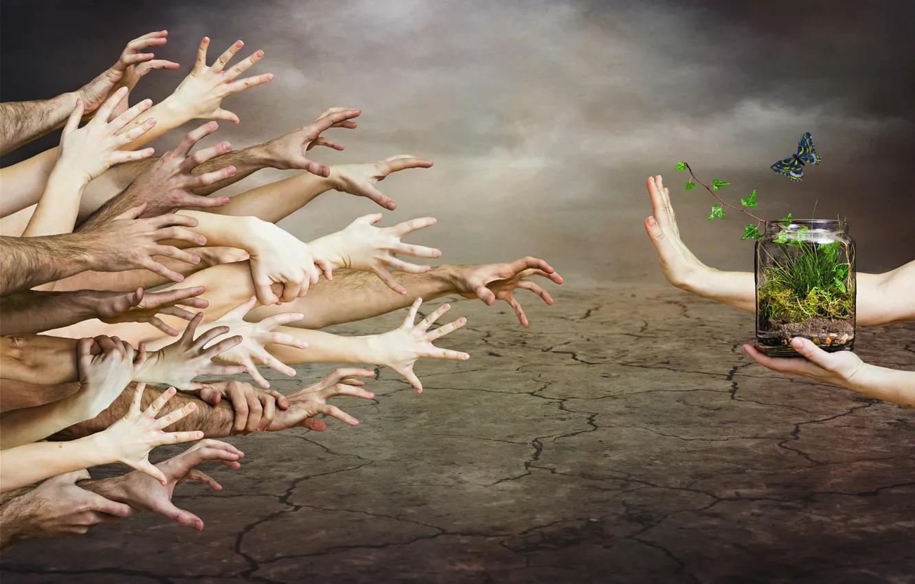 Photo wallpaper nature, hands, Bank