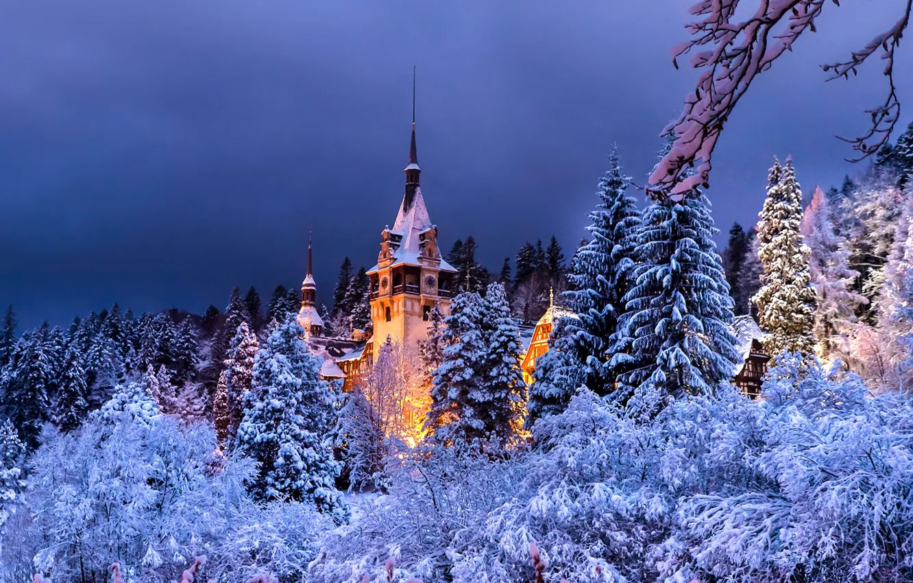 Photo wallpaper winter, forest, the evening, Romania, Sinai, Peles Castle