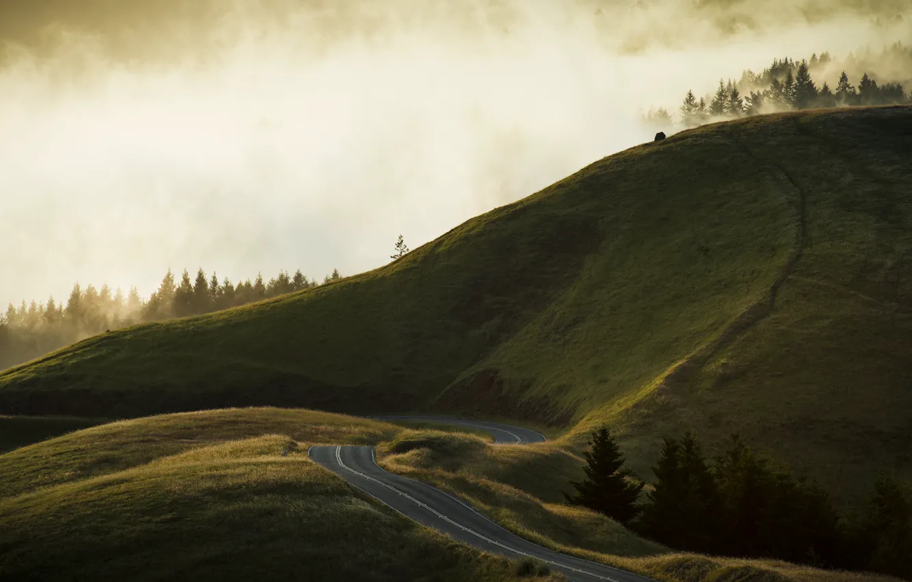 Photo wallpaper California, Stinson Beach, mt tamalpais, zigzag