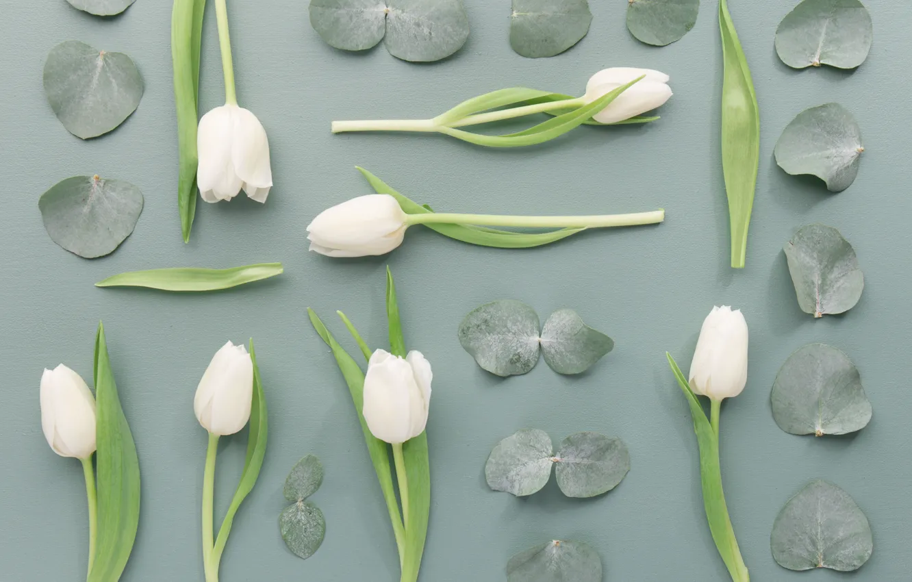 Photo wallpaper flowers, tulips, buds