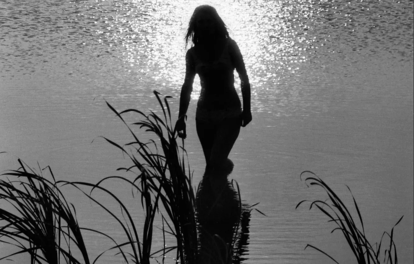 Photo wallpaper girl, black and white, the evening, silhouette, Vladimir Krasnov