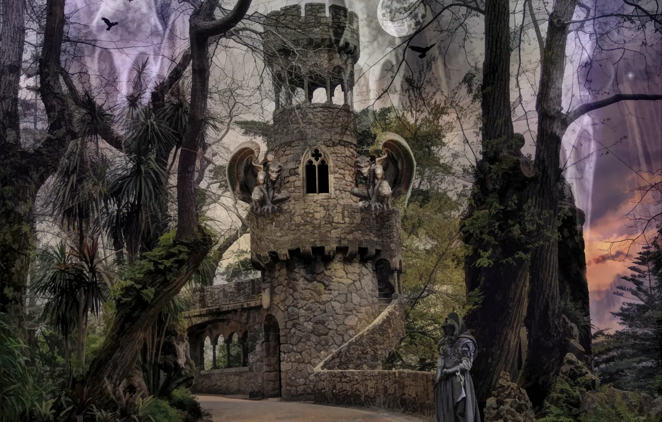 Photo wallpaper forest, tower, fantasy, male, gargoyles