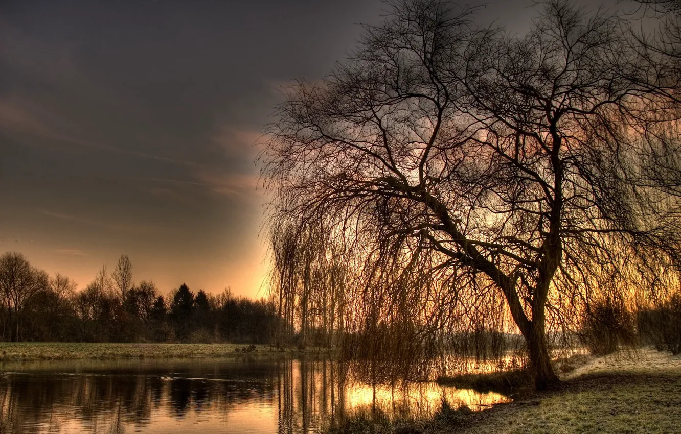 Photo wallpaper river, HDR, Tree
