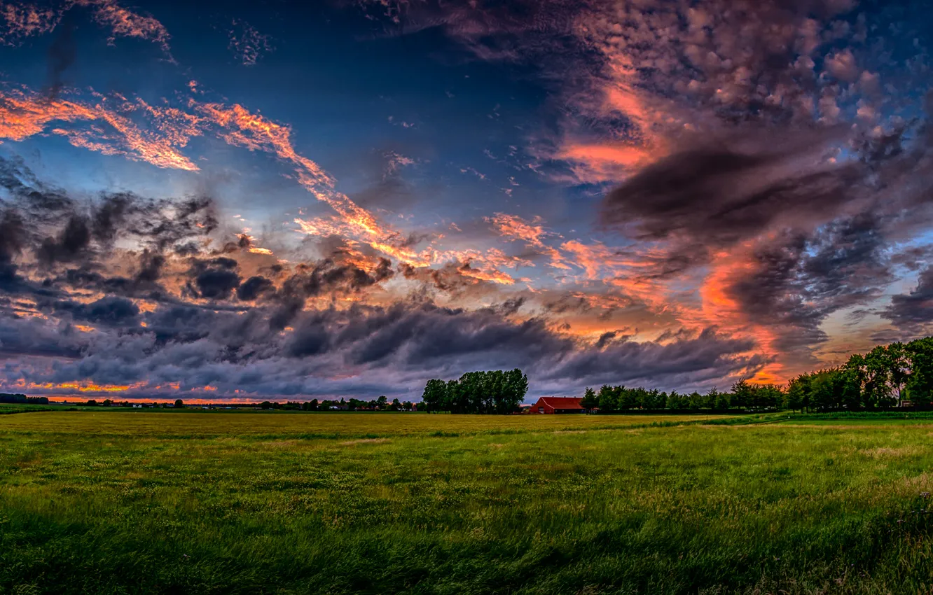 Photo wallpaper field, the sky, grass, clouds, trees, sunset, house, Netherlands