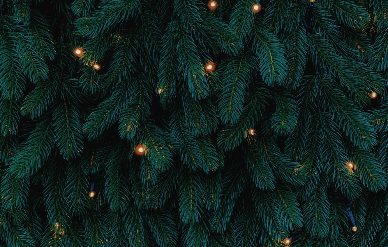 Photo wallpaper holiday, tree, new year, lights, Christmas, garland