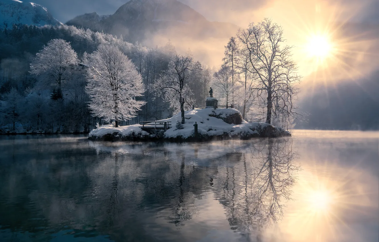 Photo wallpaper winter, frost, forest, the sun, rays, light, snow, trees
