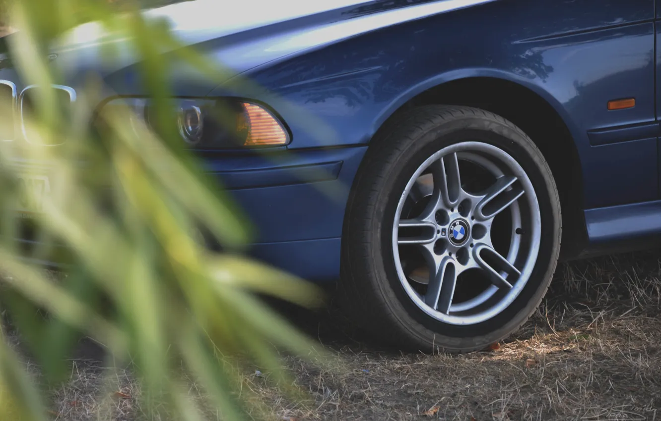 Photo wallpaper auto, BMW, E39