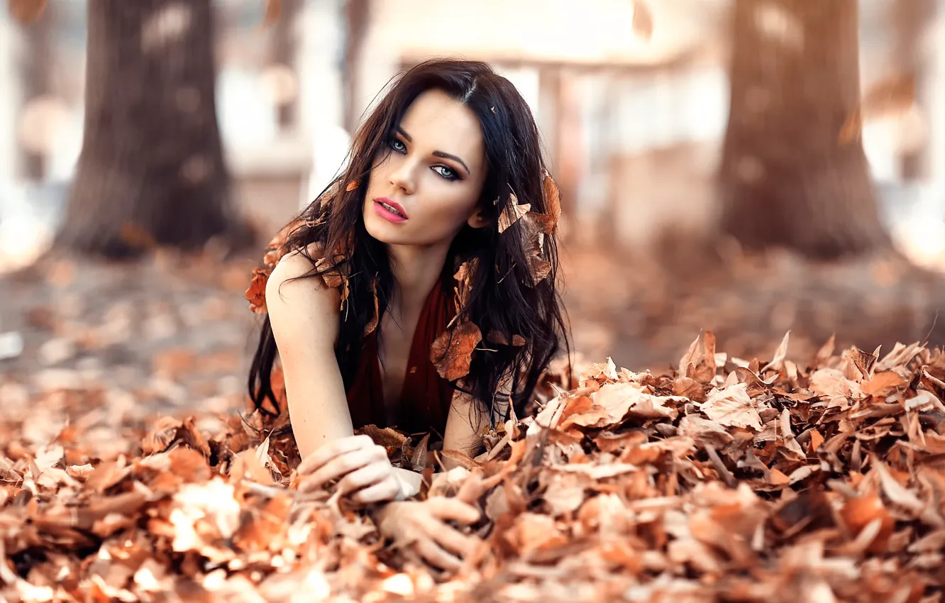 Photo wallpaper autumn, leaves, girl, hair, awakening, Alessandro Di Cicco, Iced Eyes
