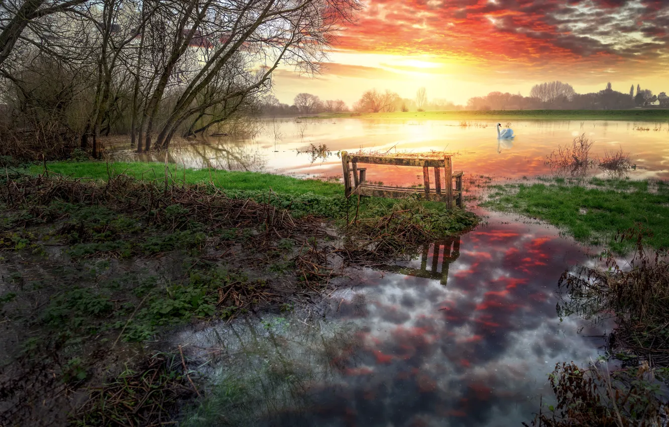 Photo wallpaper sunset, shore, swans, pond
