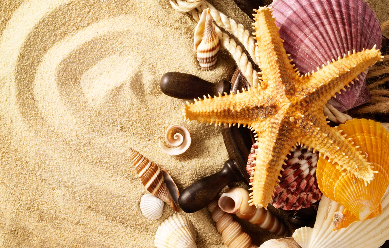 Photo wallpaper sand, summer, rope, shell, starfish