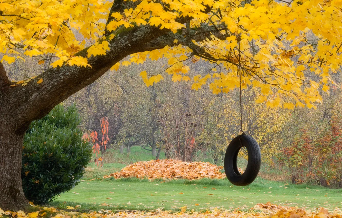 Photo wallpaper autumn, leaves, wheel