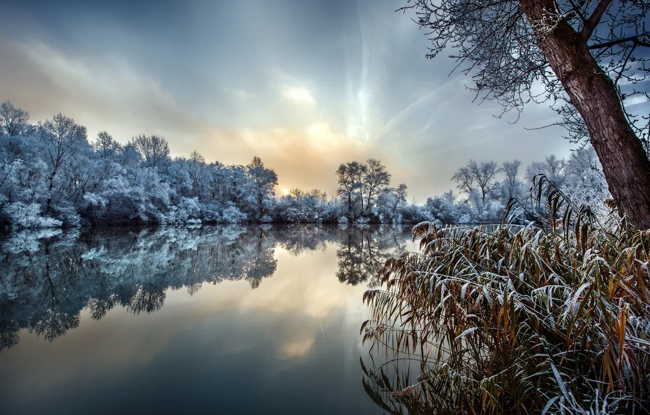 Photo wallpaper winter, frost, grass, trees, nature, lake, Robert Didierjean