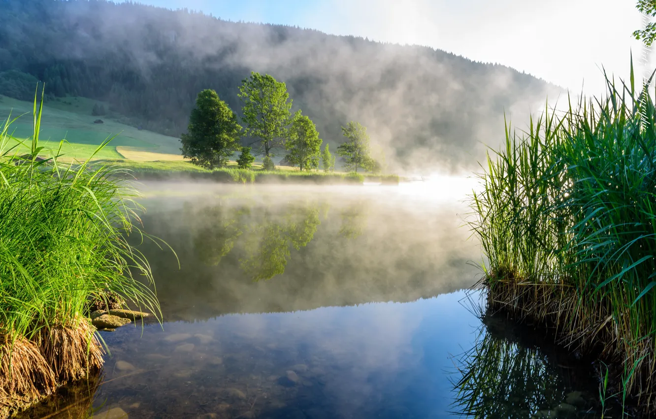 Photo wallpaper fog, lake, morning