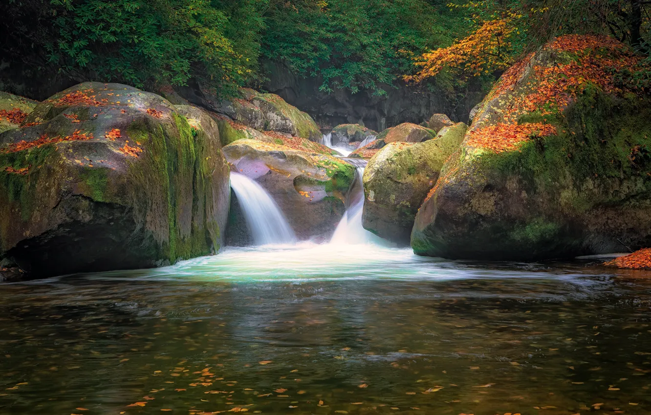 Photo wallpaper forest, rocks, shore, waterfall, stream