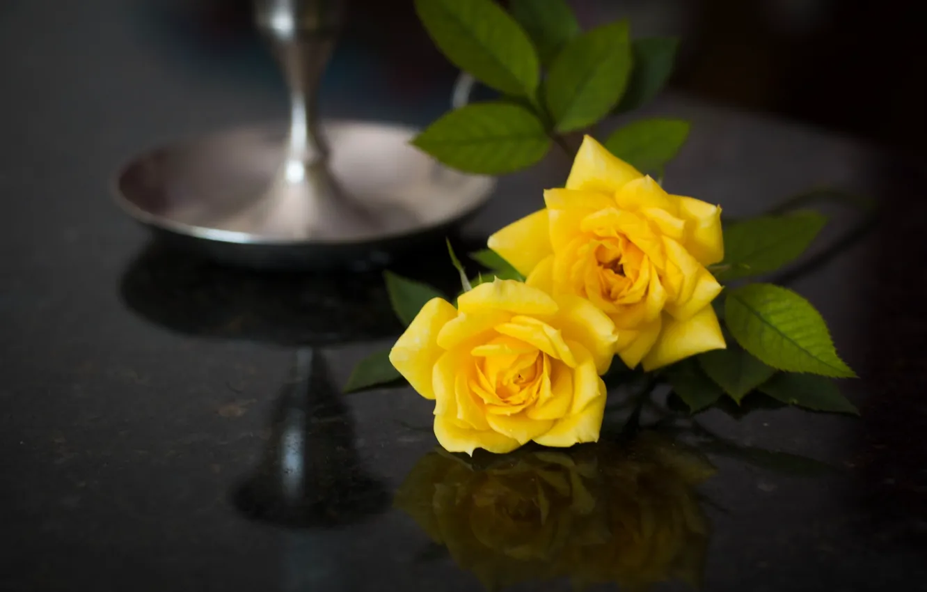 Photo wallpaper reflection, roses, yellow roses