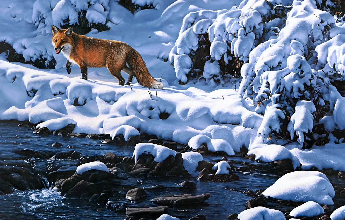 Photo wallpaper winter, light, snow, branches, stones, shore, picture, art