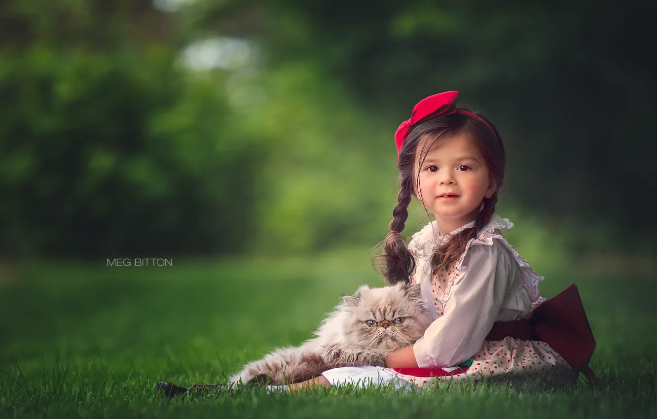 Photo wallpaper cat, grass, girl, braids, kitty, bokeh