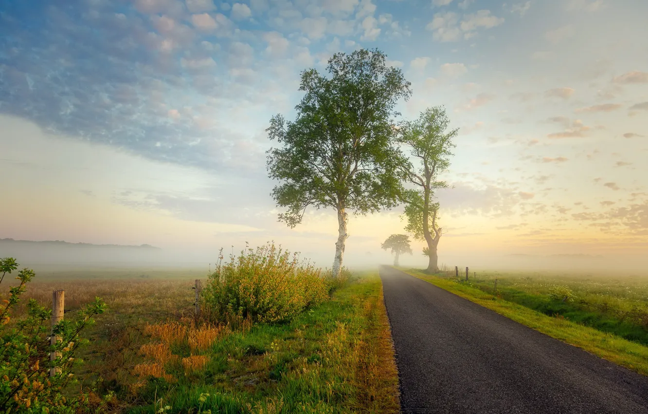 Photo wallpaper road, summer, fog